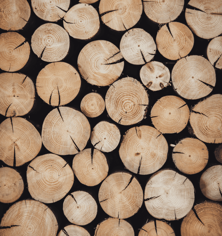 Découvrir les métiers liés auBois